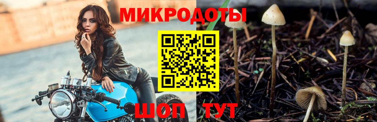 Псилоцибиновые грибы MAGIC MUSHROOMS  Вход с VPN  где найти наркотики  Псилоцибиновые грибы мицелий  Лабытнанги 